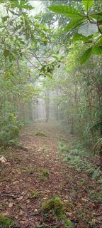 Infinite Stillness Farm - 9