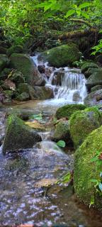 Infinite Stillness Farm - 7