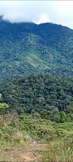 Infinite Stillness Farm - 5