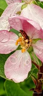 Infinite Stillness Farm - 3