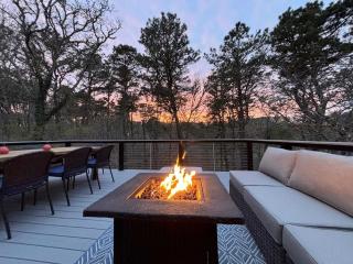 Dog Friendly Game Room Central AC - 7