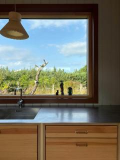 Summer House With Sea View And Soul On Odden - 1