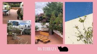 A spacious and bright house - 4