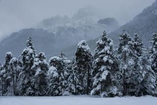 Casa de La Laguna by BeValle - 9