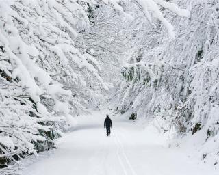 Casa de La Laguna by BeValle - 7