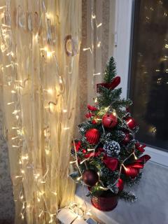 Like Home Guesthouse & Tours - 8