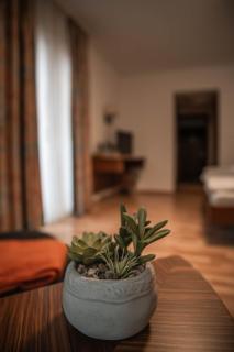 Pension Hubertushof - 9