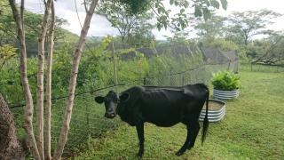 A Farm Experience at Shoulder Mountain Products - 6