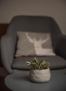 Pension Hubertushof - 2