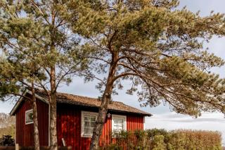 Coastal Cottage By Kullabergs Nature And Sea - 0