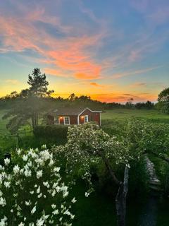 Coastal Cottage By Kullabergs Nature And Sea - 9