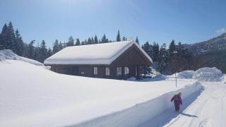 Cabin With Ski Inout Near Stryn Alpine Resort - 9