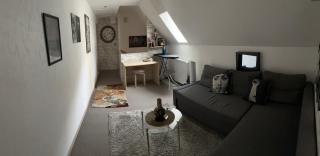 L'Ajasserie d'Orcival - 7