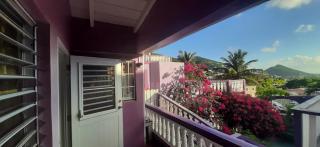 Purple Peach Escapes - 8