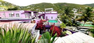 Purple Peach Escapes - 7