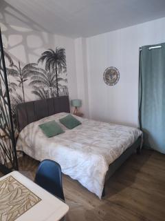 Studio plein centre face au lac, cave vélo - 7