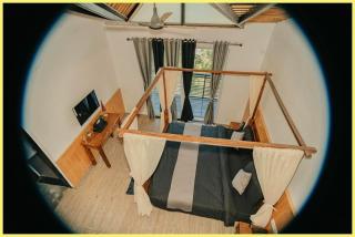 Hotel The Blue-Pine Pool Stay Near Naini Lake - Restaurant - Parking And Swimming Pool - Best Luxuary Hotel In Nainital - 4