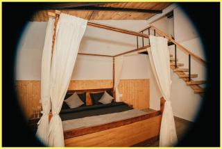 Hotel The Blue-Pine Pool Stay Near Naini Lake - Restaurant - Parking And Swimming Pool - Best Luxuary Hotel In Nainital - 1