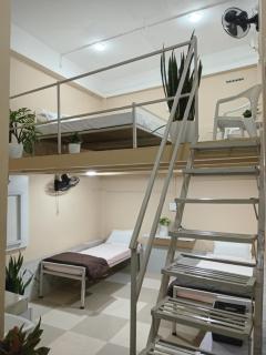 Tranquil Nest HOMESTAY - 1