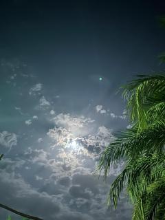 Villa Luna Simone - 8