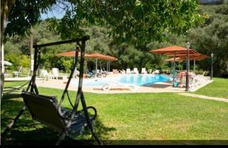 Aristidis Garden1 - 2