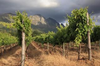 Modern Coastal Penthouse Vibes! - 8