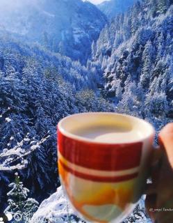 Shangrila thachi - 5