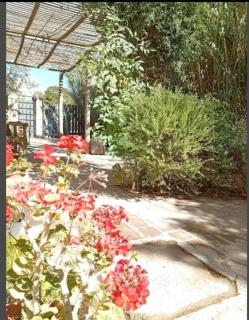 Casa Boreal dptos estilo casa - 7