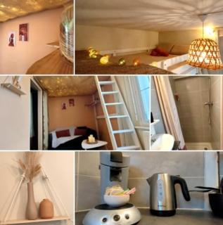 Le petit nid étoilé - Gare, Jardin botanique, Wifi - 9