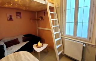 Le petit nid étoilé - Gare, Jardin botanique, Wifi - 3