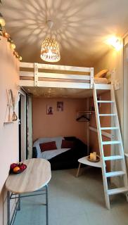 Le petit nid étoilé - Gare, Jardin botanique, Wifi - 7