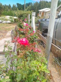 Cabaña Villa Esperanza - 8