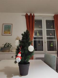 La Crécynette - near Disneyland and Parrot World - 8