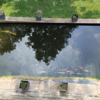 Ferienwohnung Casa Bianka Erdgeschoss - 2