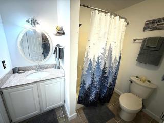 Mountain Getaway Suite Ski OnOff Jiminy Peak - Fully Redone Decor - 2