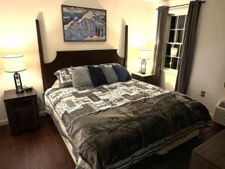 Mountain Getaway Suite Ski OnOff Jiminy Peak - Fully Redone Decor - 6