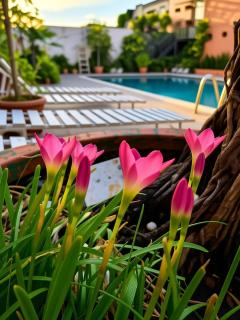 Hotel Plaza Independencia - 1