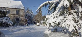 Dom Pod Złotym Bażantem - 7