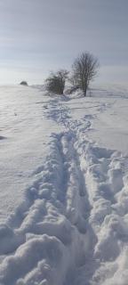 Dom Pod Złotym Bażantem - 5