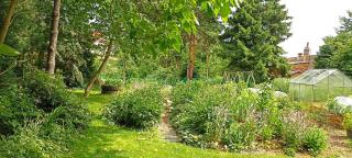 Dom Pod Złotym Bażantem - 4