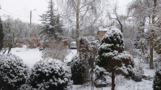 Dom Pod Złotym Bażantem - 3