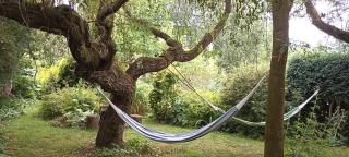 Dom Pod Złotym Bażantem - 5