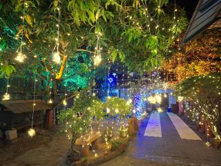 Southcanal Holidays - 9