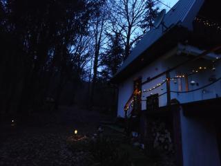 UNDER THE GREEN ROOF - 8