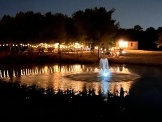 The Lodges at Fossil Creek - 6