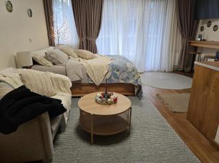 Pirin Golf Cozy Studio - 9