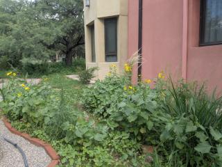 Posada Abrazo Serrano en Carpintería - 4