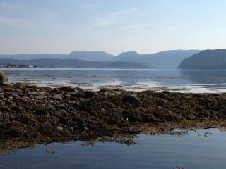 Bonne Bay Biscuit Box - 8