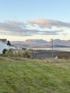 Bonne Bay Biscuit Box - 7