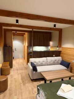 Atrium, new Gudauri - Gudauri - 5